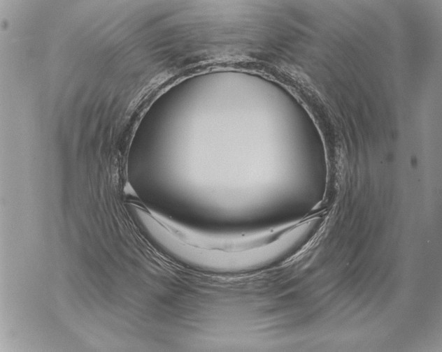 X0000071851257200607290124