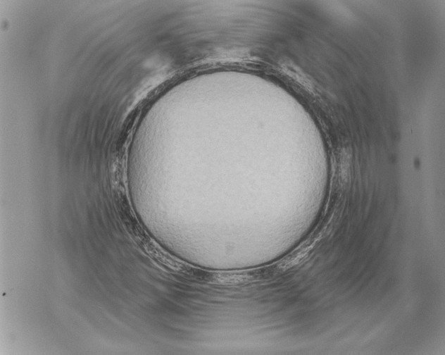 X0000071851258200607290124