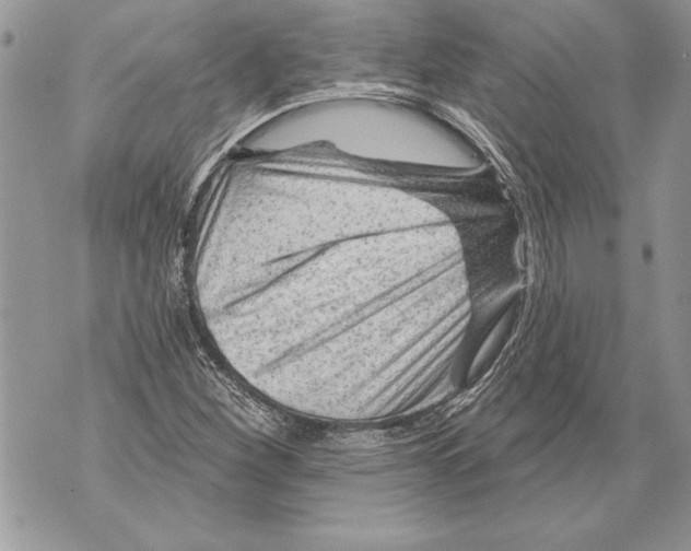 X0000071851260200607290124