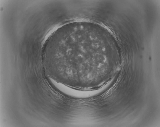 X0000071851263200607290123