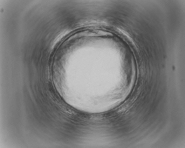 X0000071851267200607290123