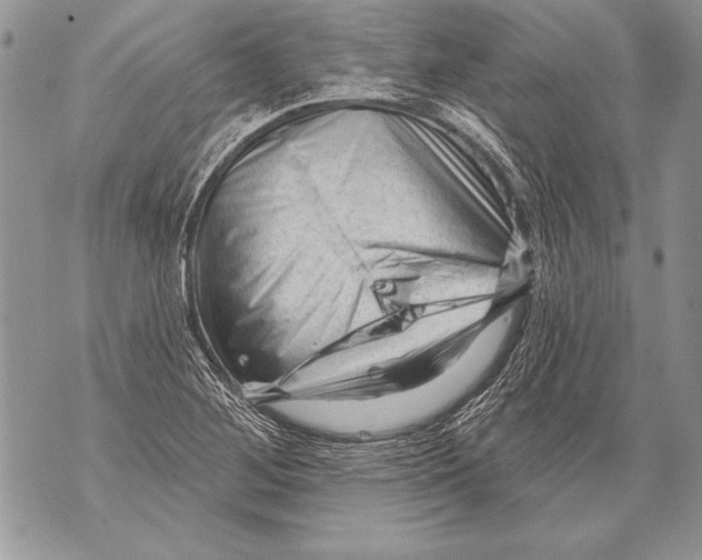 X0000071851268200607290123