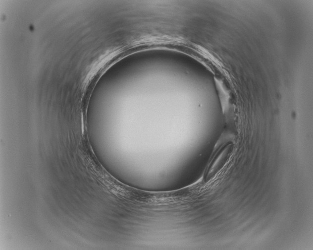 X0000071851269200607290123