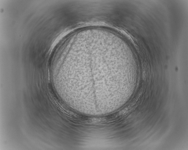 X0000071851271200607290123