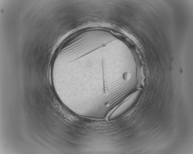 X0000071851272200607290123