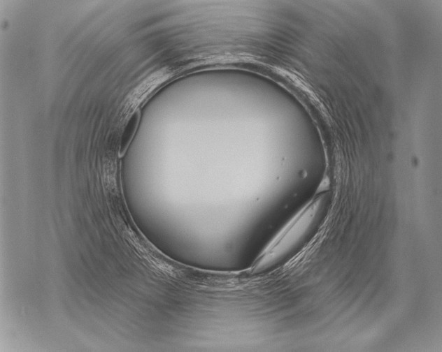 X0000071851273200607290123