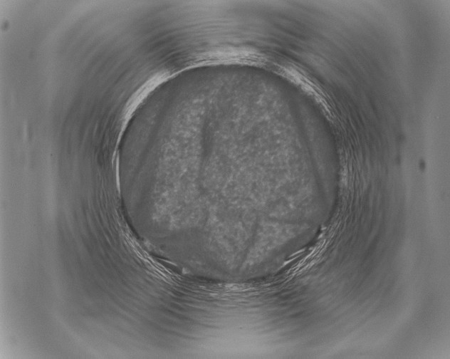 X0000071851275200607290123