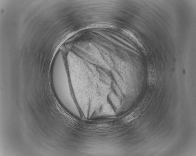 X0000071851276200607290123