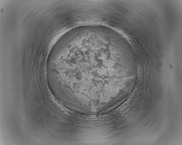 X0000071851279200607290123