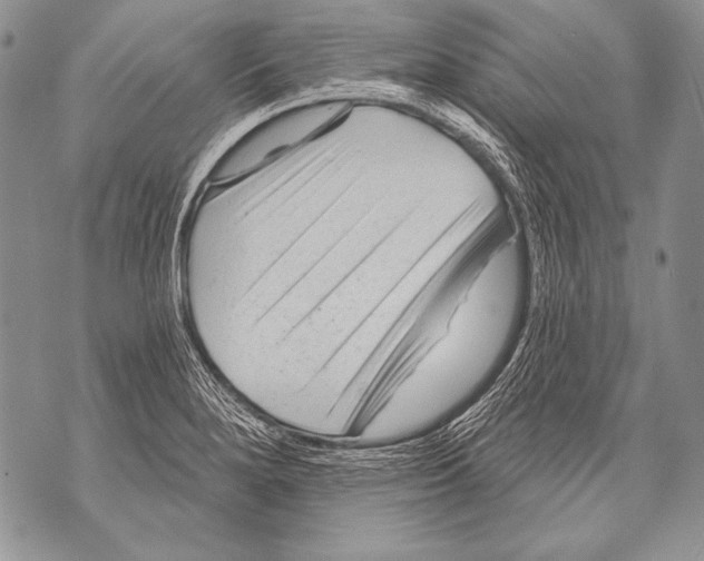 X0000071851280200607290123