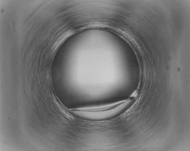 X0000071851281200607290123