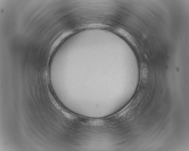 X0000071851282200607290123