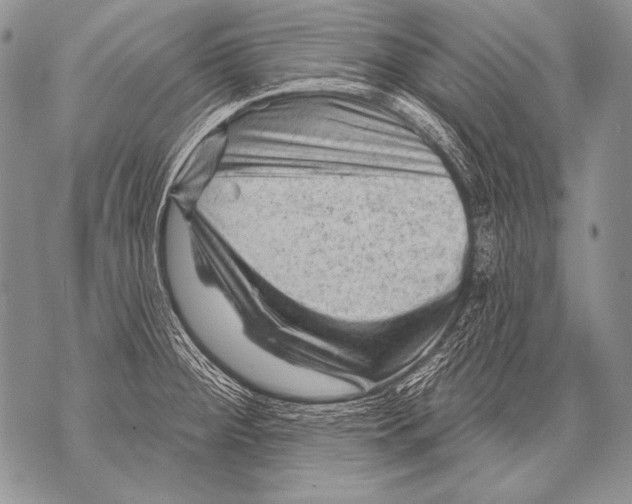 X0000071851284200607290123