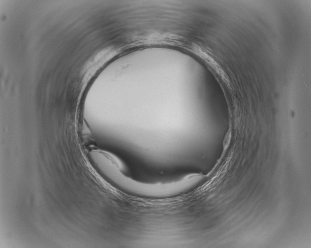 X0000071851285200607290123