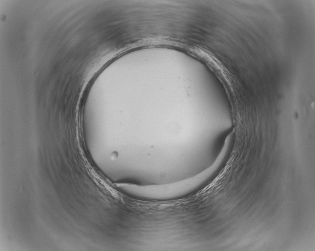 X0000071851286200607290123