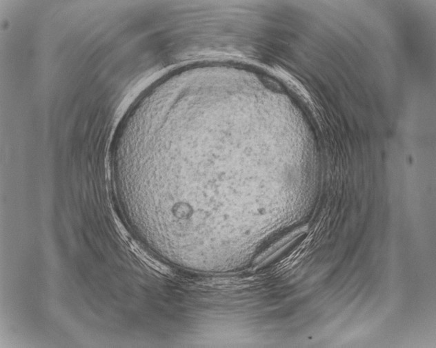 X0000071851287200607290123