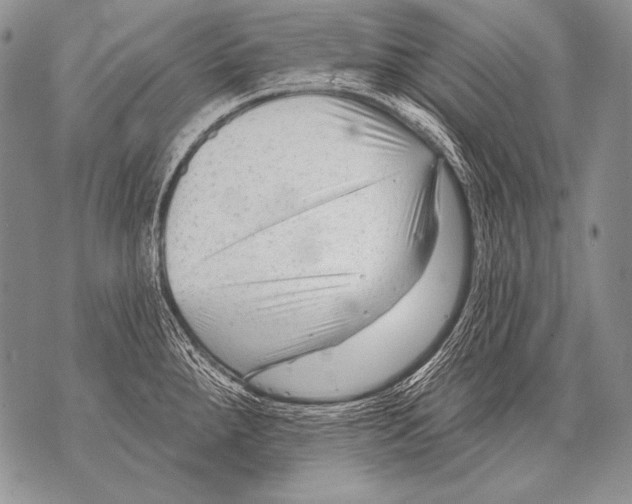 X0000071851288200607290123