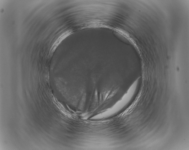 X0000071851289200607290123