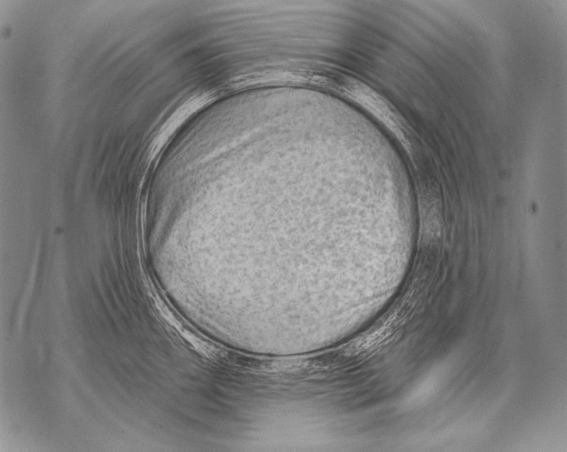 X0000071851290200607290123