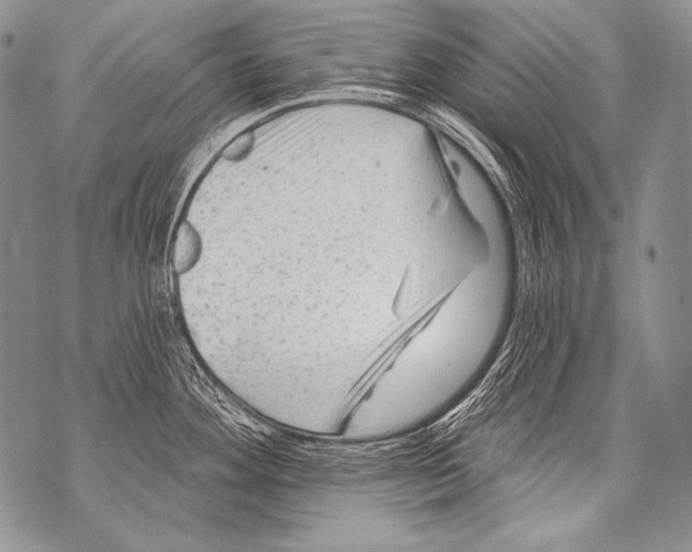 X0000071851292200607290123