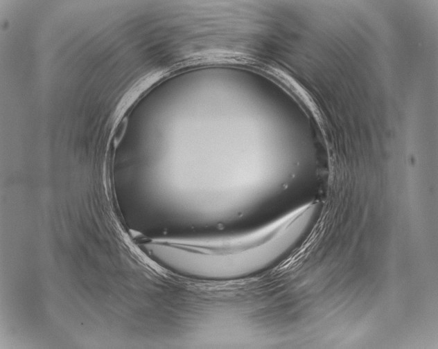 X0000071851293200607290123