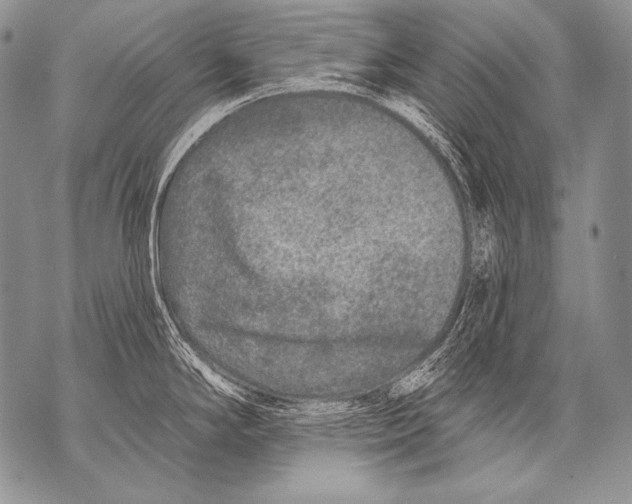 X0000071851294200607290123