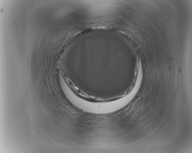 X0000071851297200607290122