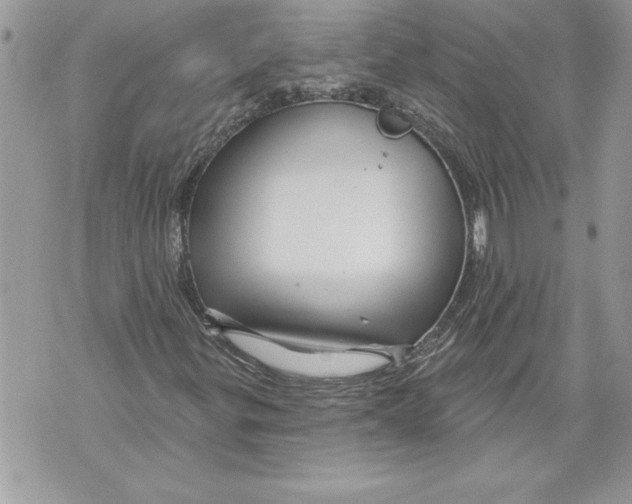 X0000071851299200607290122