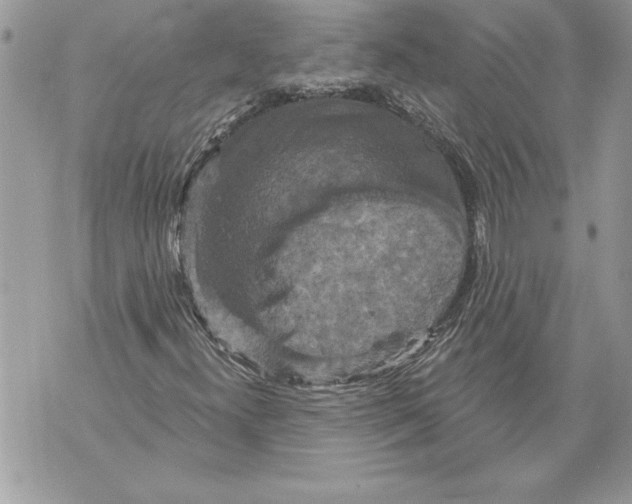 X0000071851300200607290122