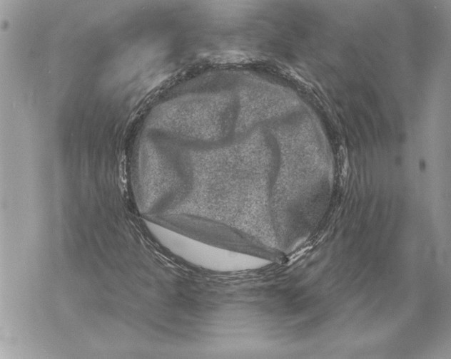 X0000071851301200607290122