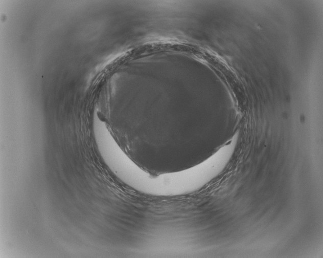 X0000071851303200607290122