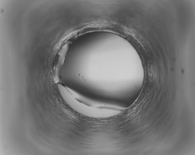 X0000071851304200607290122