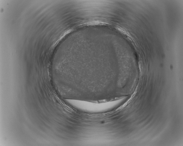 X0000071851305200607290122