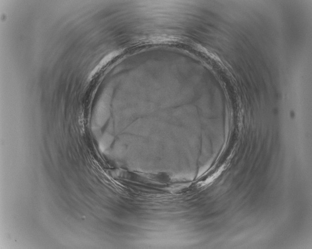 X0000071851306200607290122