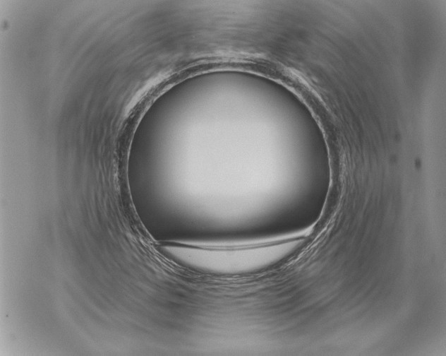 X0000071851307200607290122