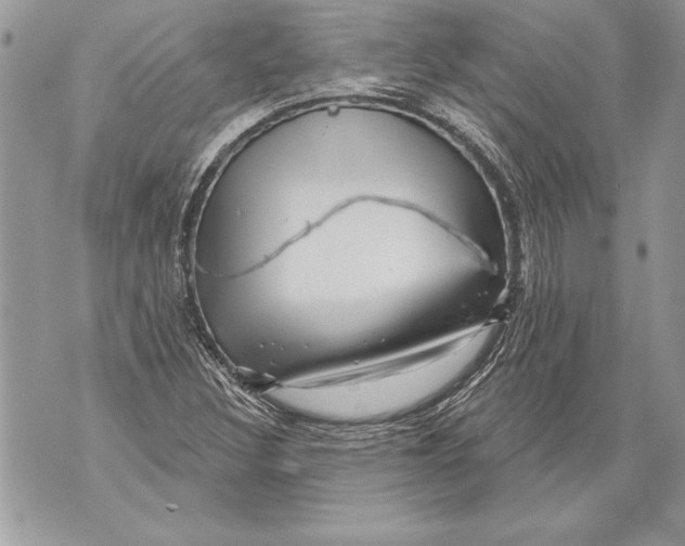 X0000071851308200607290122