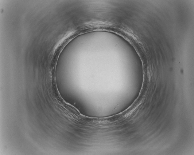 X0000071851309200607290122