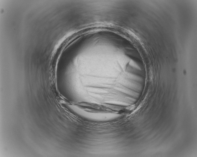 X0000071851310200607290122