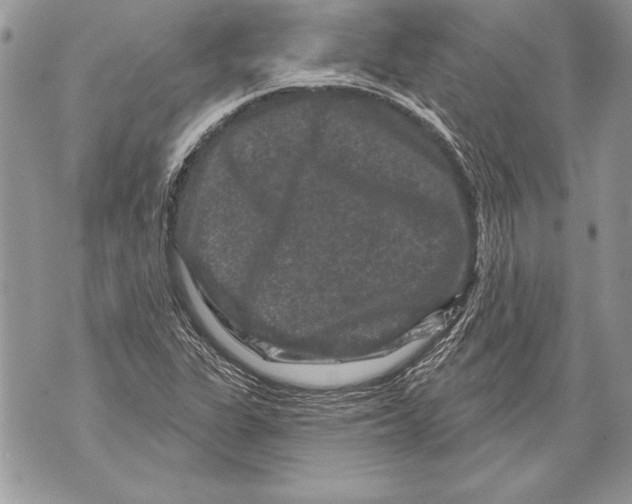 X0000071851311200607290122