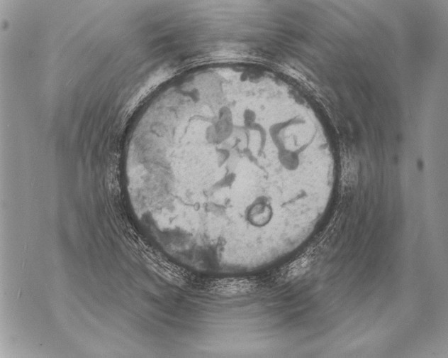 X0000071851314200607290122