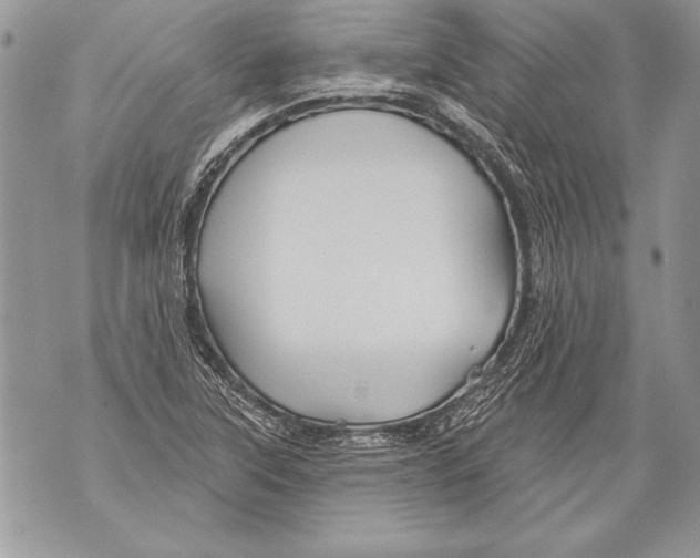 X0000071851315200607290122