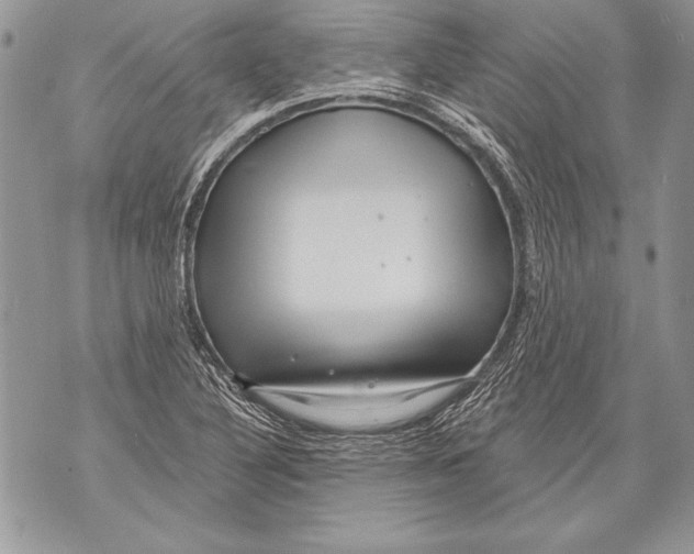 X0000071851316200607290122