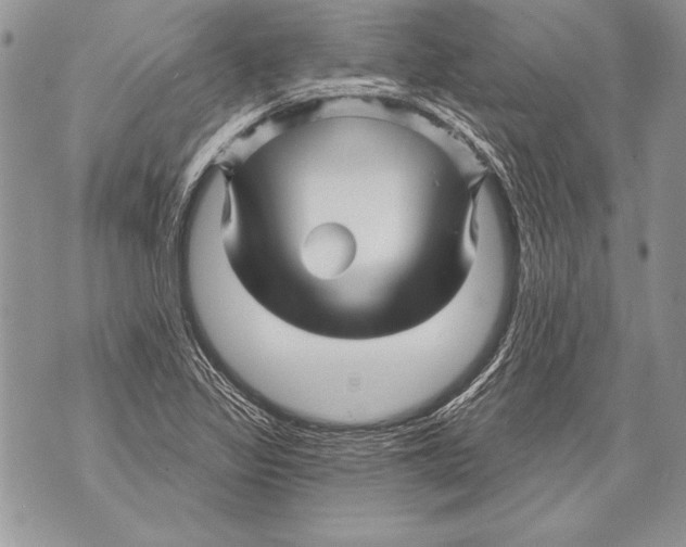 X0000071851317200607290122