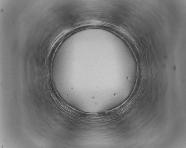 X0000071851318200607290123