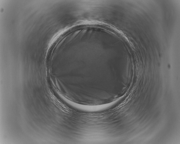 X0000071851319200607290123