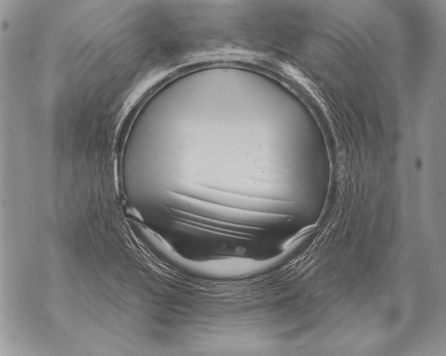 X0000071851320200607290123