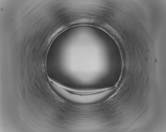 X0000071851321200607290123