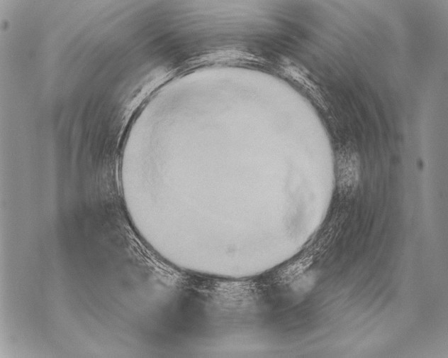 X0000071851322200607290123