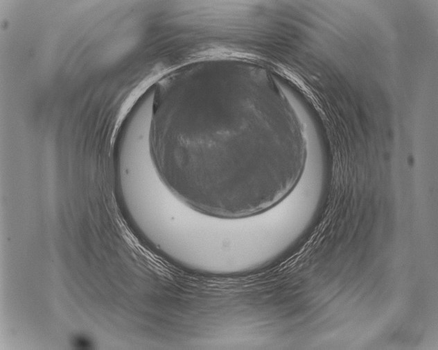 X0000071851323200607290123