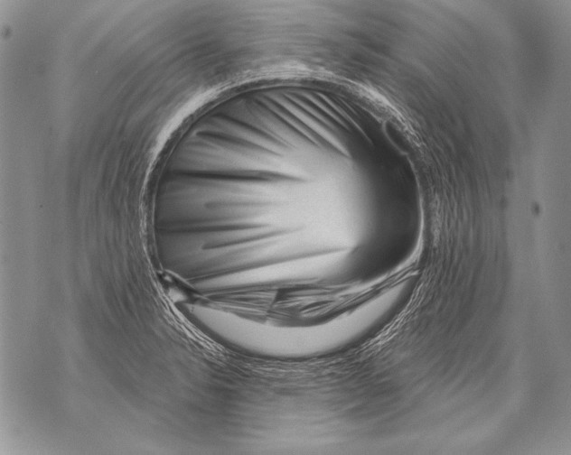 X0000071851326200607290123